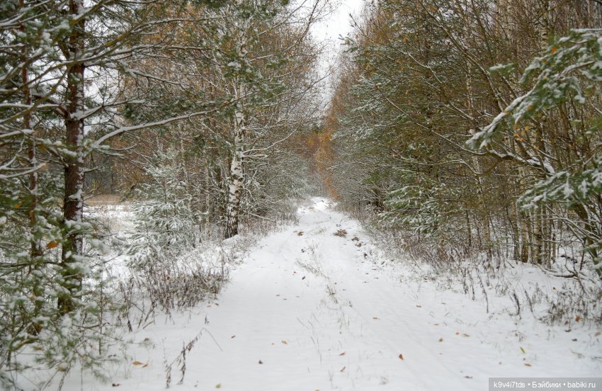 Репетиция зимы — Оригинальные куклы Blythe (Блайз): Takara