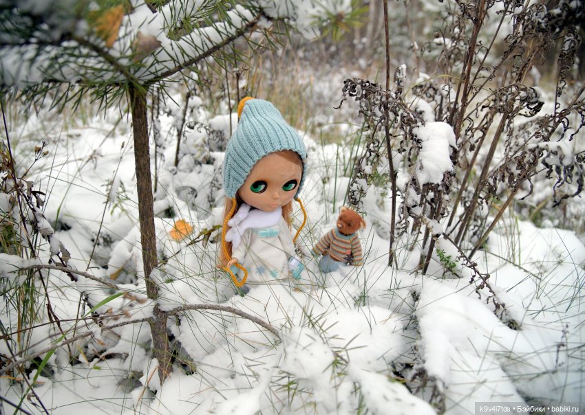 Репетиция зимы — Оригинальные куклы Blythe (Блайз): Takara