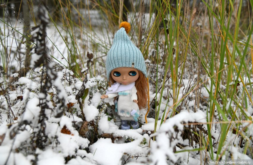 Репетиция зимы — Оригинальные куклы Blythe (Блайз): Takara