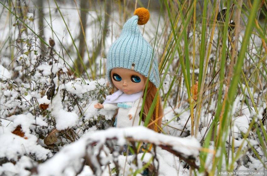 Репетиция зимы — Оригинальные куклы Blythe (Блайз): Takara