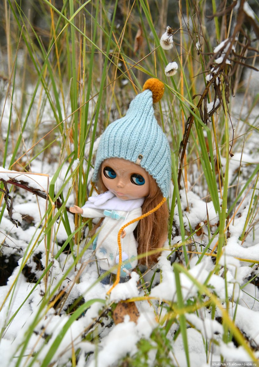 Репетиция зимы — Оригинальные куклы Blythe (Блайз): Takara