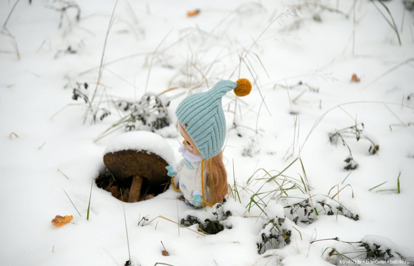 Репетиция зимы — Оригинальные куклы Blythe (Блайз): Takara