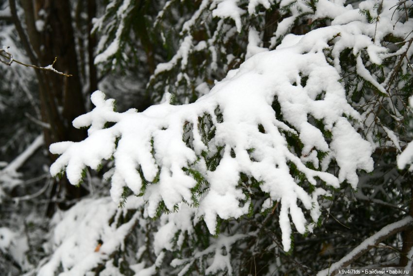 Репетиция зимы — Оригинальные куклы Blythe (Блайз): Takara (фото 6)