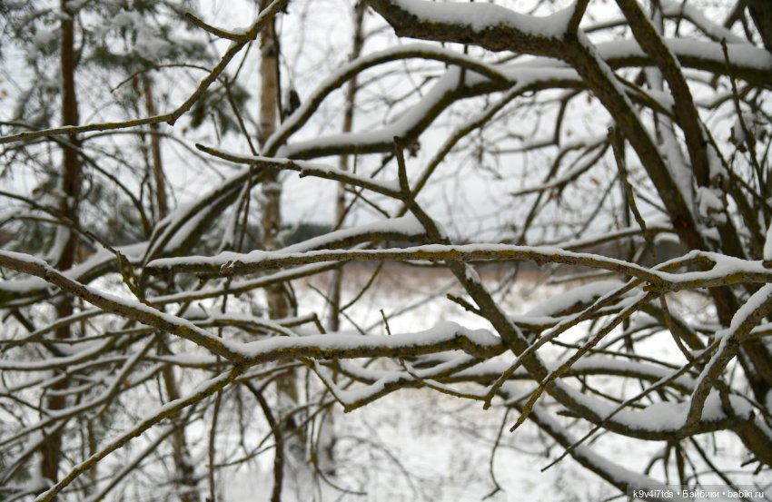 Репетиция зимы — Оригинальные куклы Blythe (Блайз): Takara