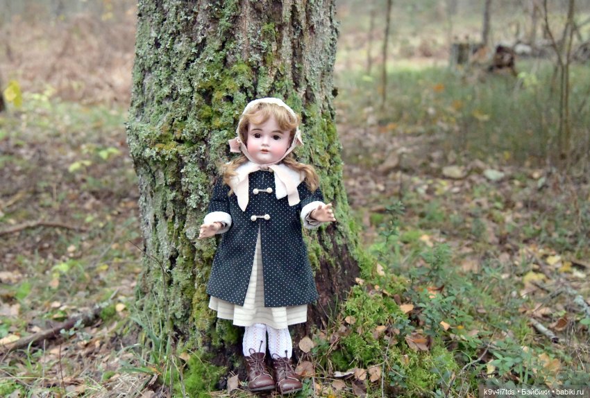 Ноябрьский день в сосновом бору (фото 6)