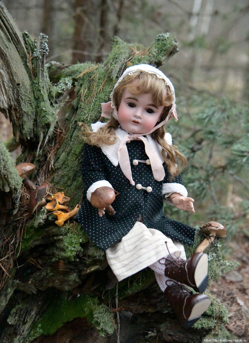 Ноябрьский день в сосновом бору