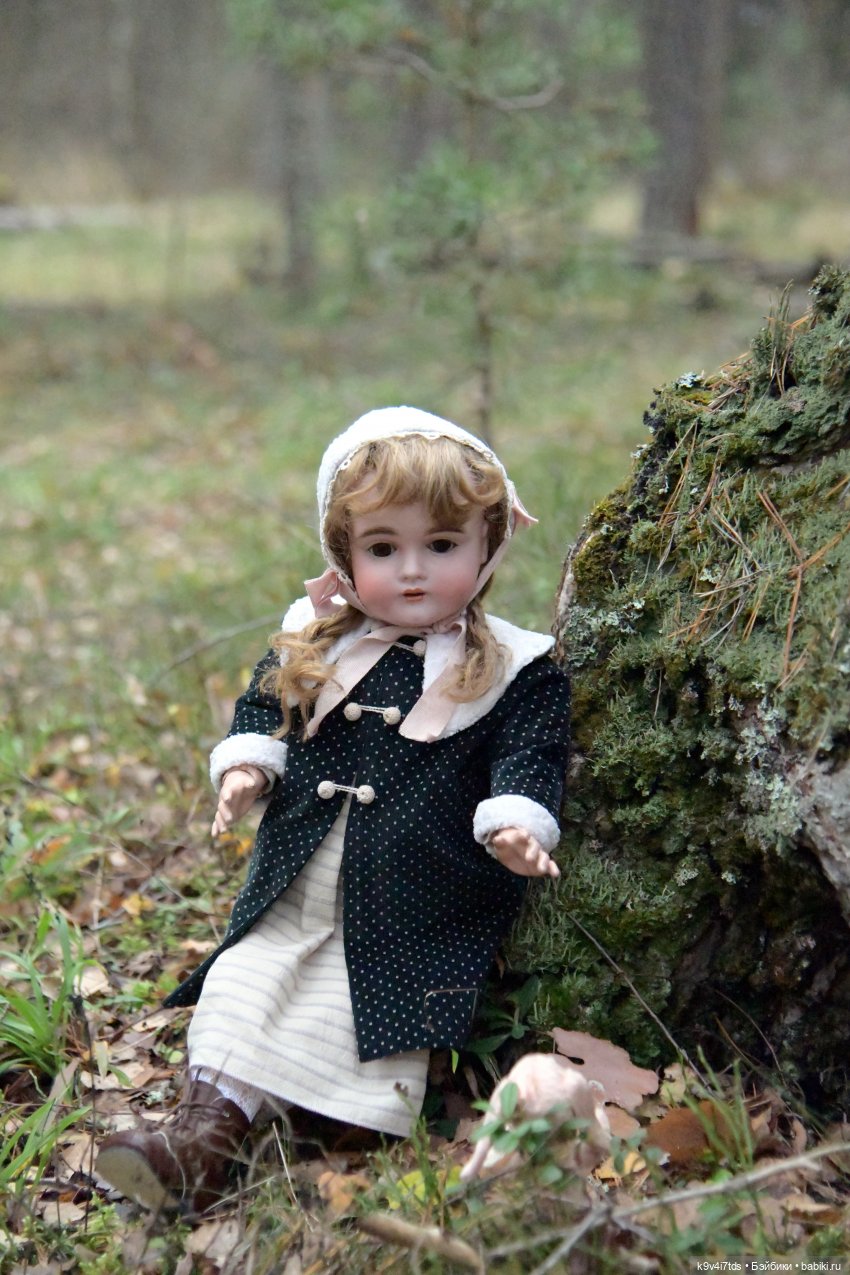 Ноябрьский день в сосновом бору (фото 8)