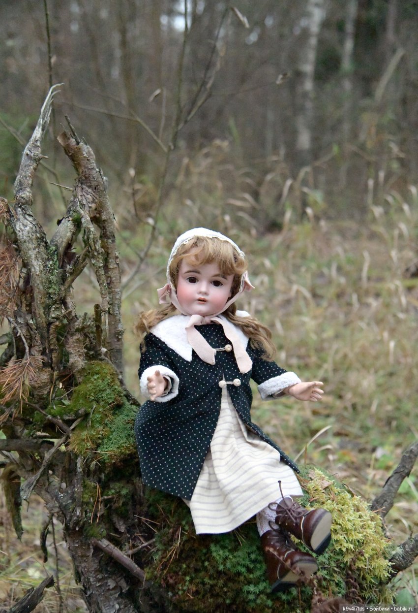 Ноябрьский день в сосновом бору