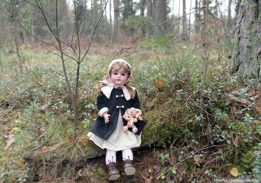 Ноябрьский день в сосновом бору