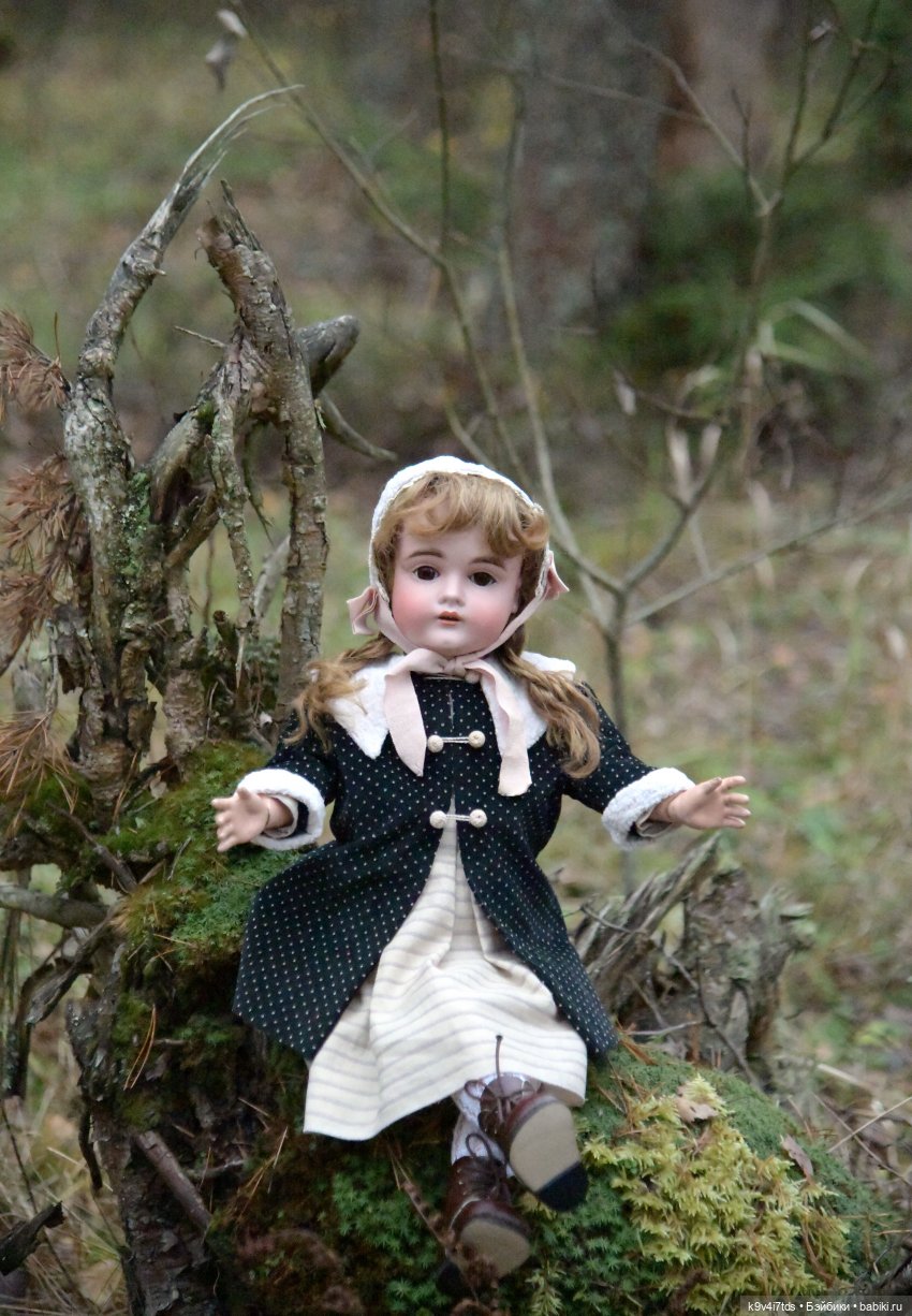 Ноябрьский день в сосновом бору