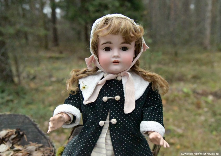 Ноябрьский день в сосновом бору (фото 10)