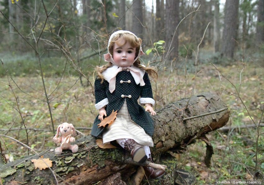 Ноябрьский день в сосновом бору (фото 4)