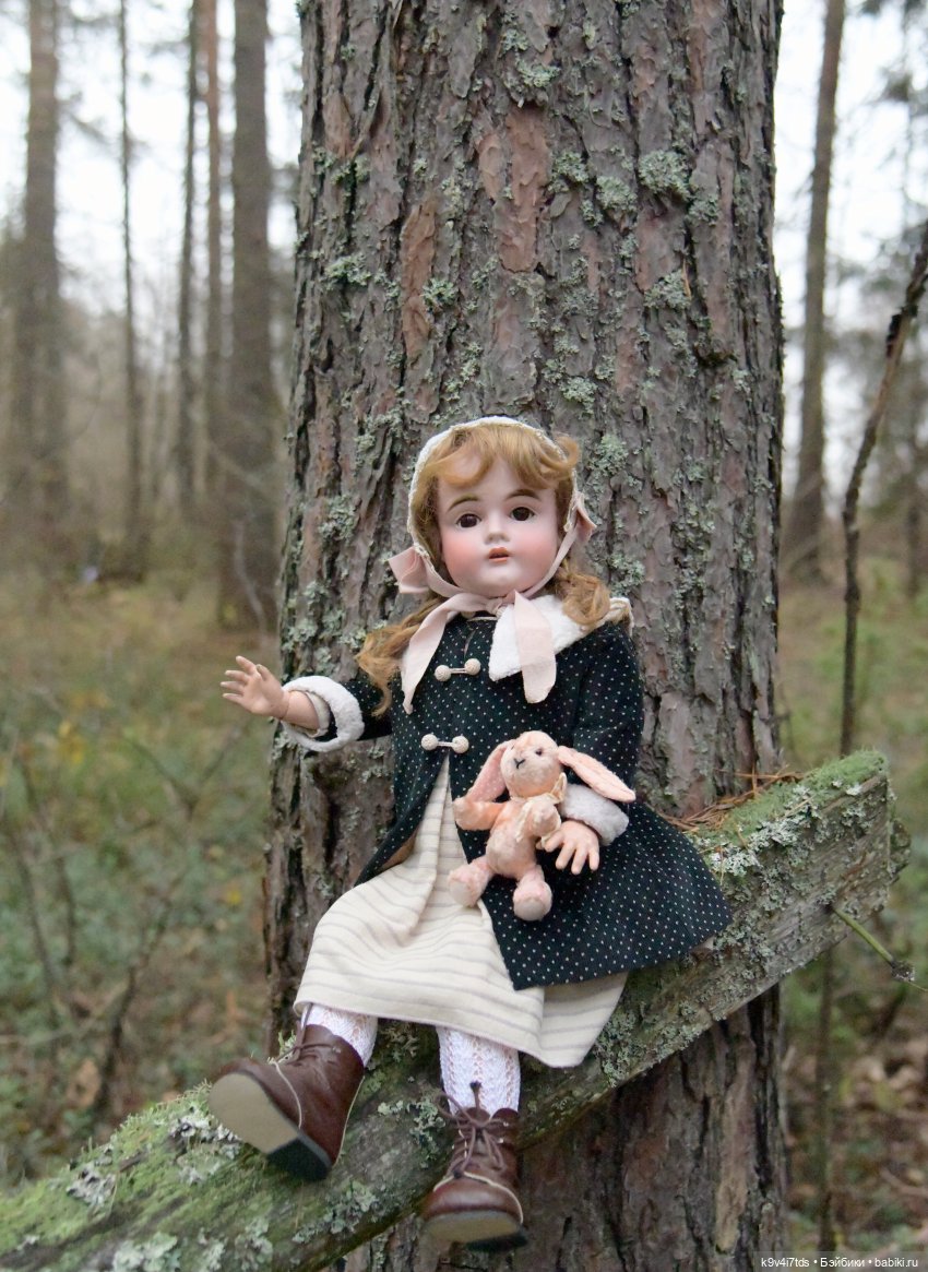 Ноябрьский день в сосновом бору (фото 5)