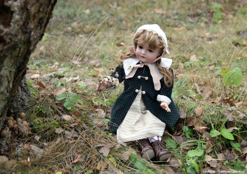 Ноябрьский день в сосновом бору