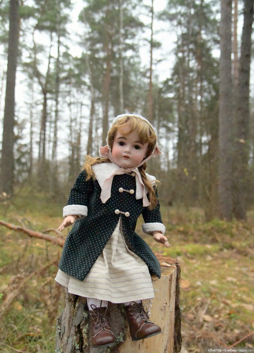 Ноябрьский день в сосновом бору (фото 3)