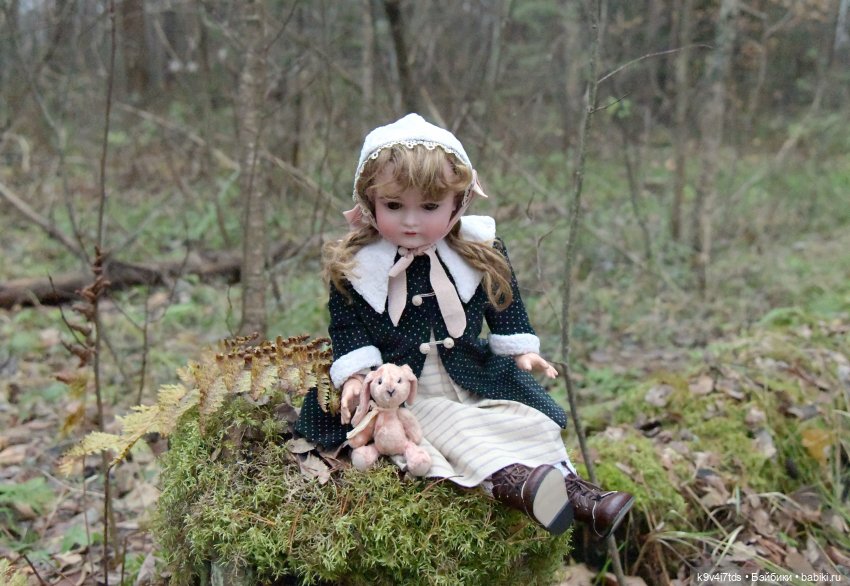 Ноябрьский день в сосновом бору