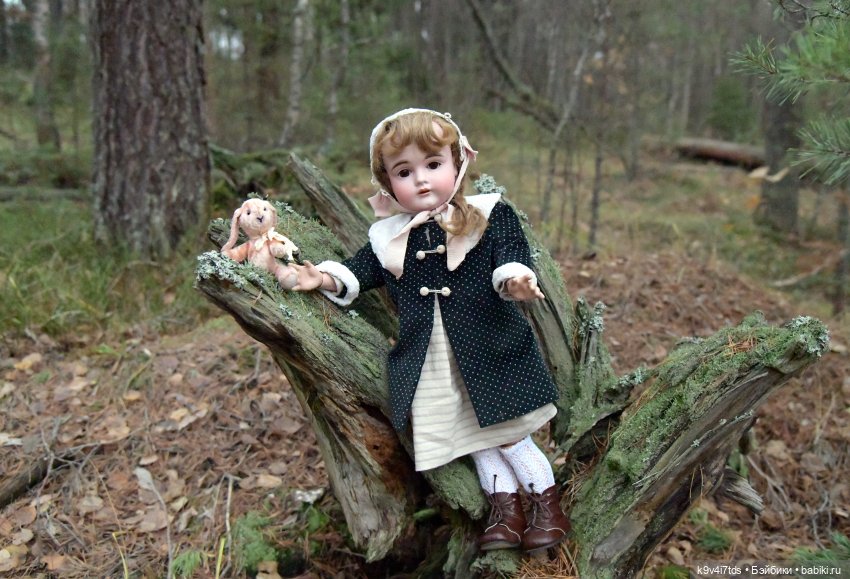 Ноябрьский день в сосновом бору