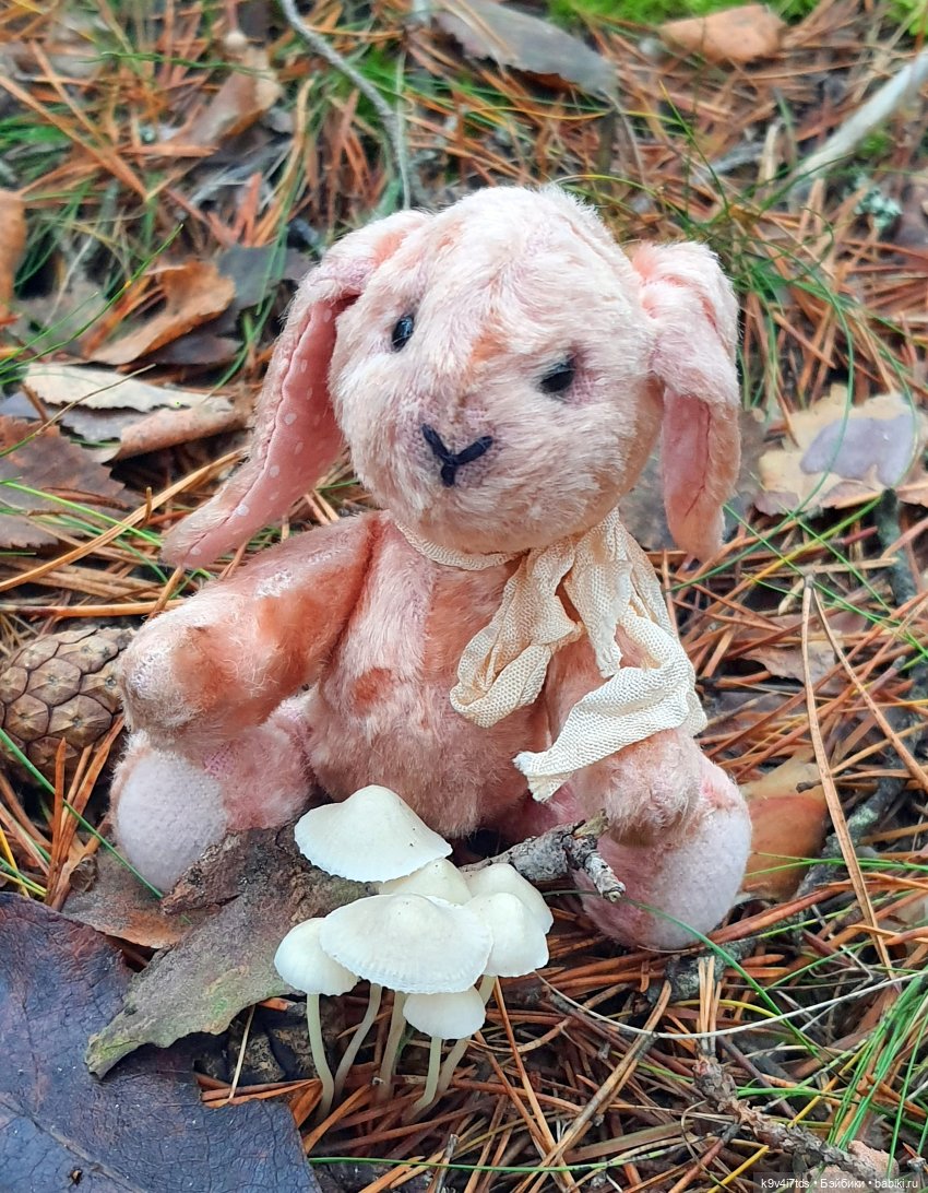 Ноябрьский день в сосновом бору