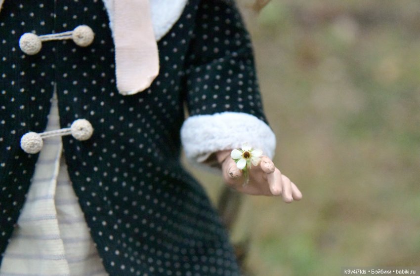 Ноябрьский день в сосновом бору (фото 9)