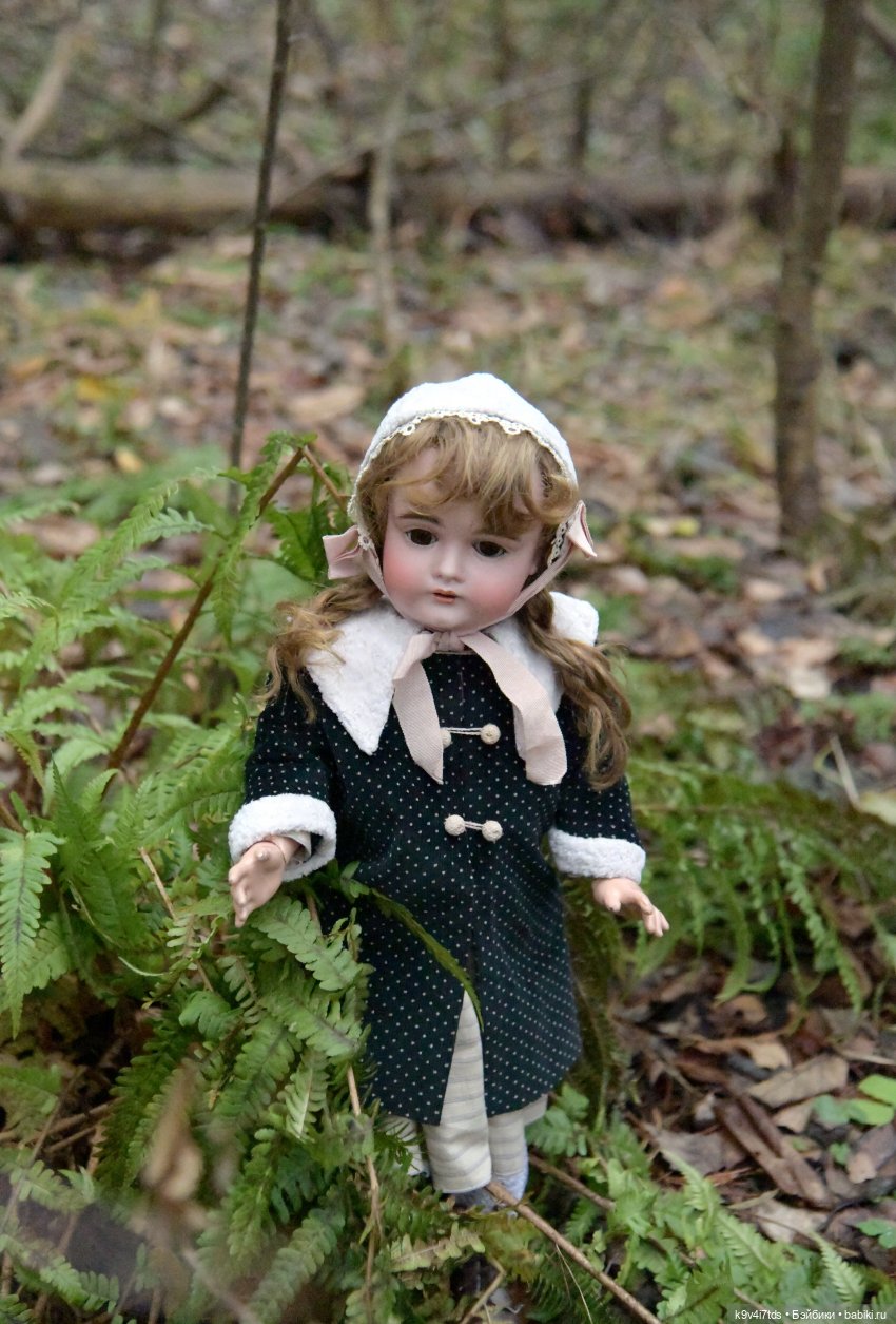 Ноябрьский день в сосновом бору