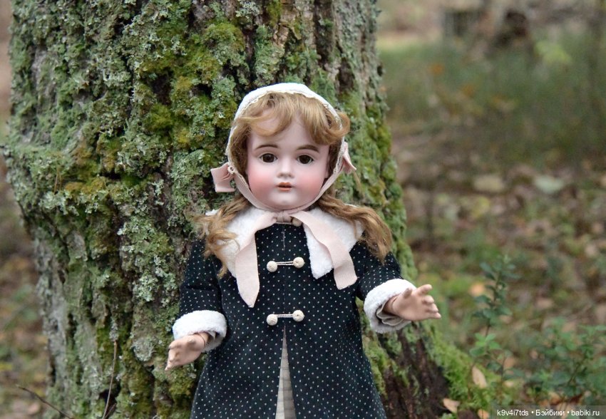 Ноябрьский день в сосновом бору (фото 7)