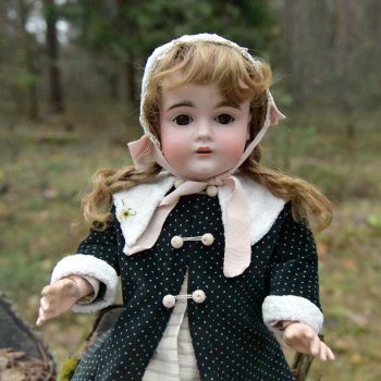 Ноябрьский день в сосновом бору