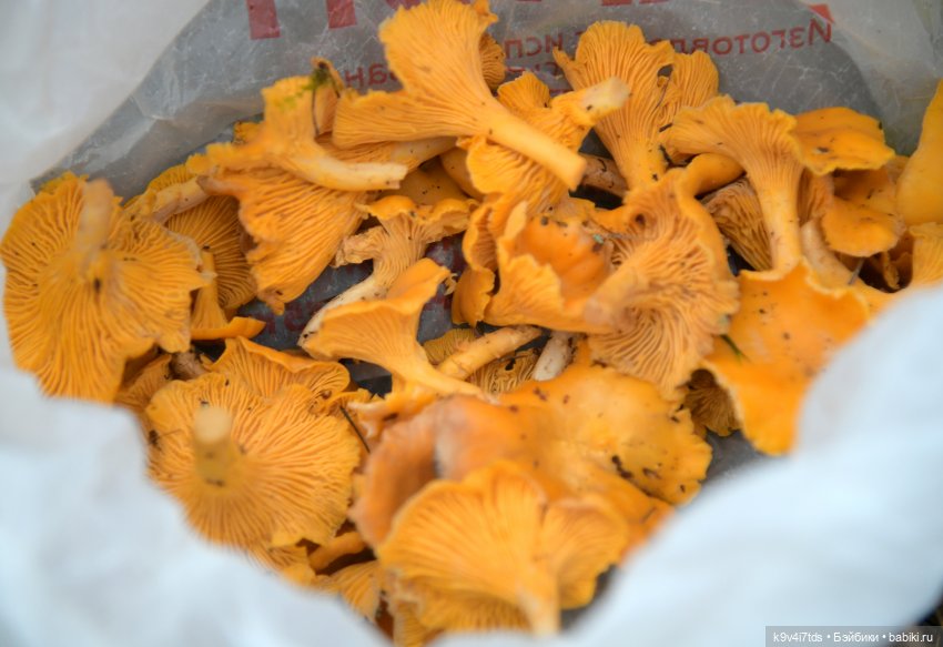 Ноябрь в "Беседах" | Бэйбики Ноябрь в "Беседах" — Антикварные куклы Simon & Halbig (S&H): Симон Хальбиг