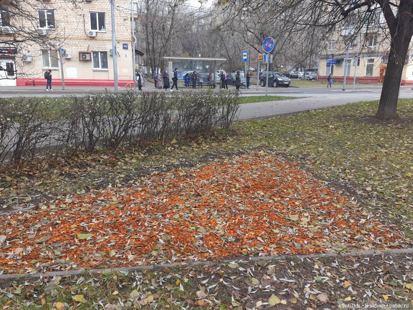 Московская осень — Куклы Irrealdoll (Ирреалдолл): BJD (БЖД) (фото 10)