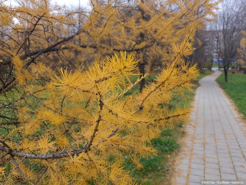 Московская осень — Куклы Irrealdoll (Ирреалдолл): BJD (БЖД)