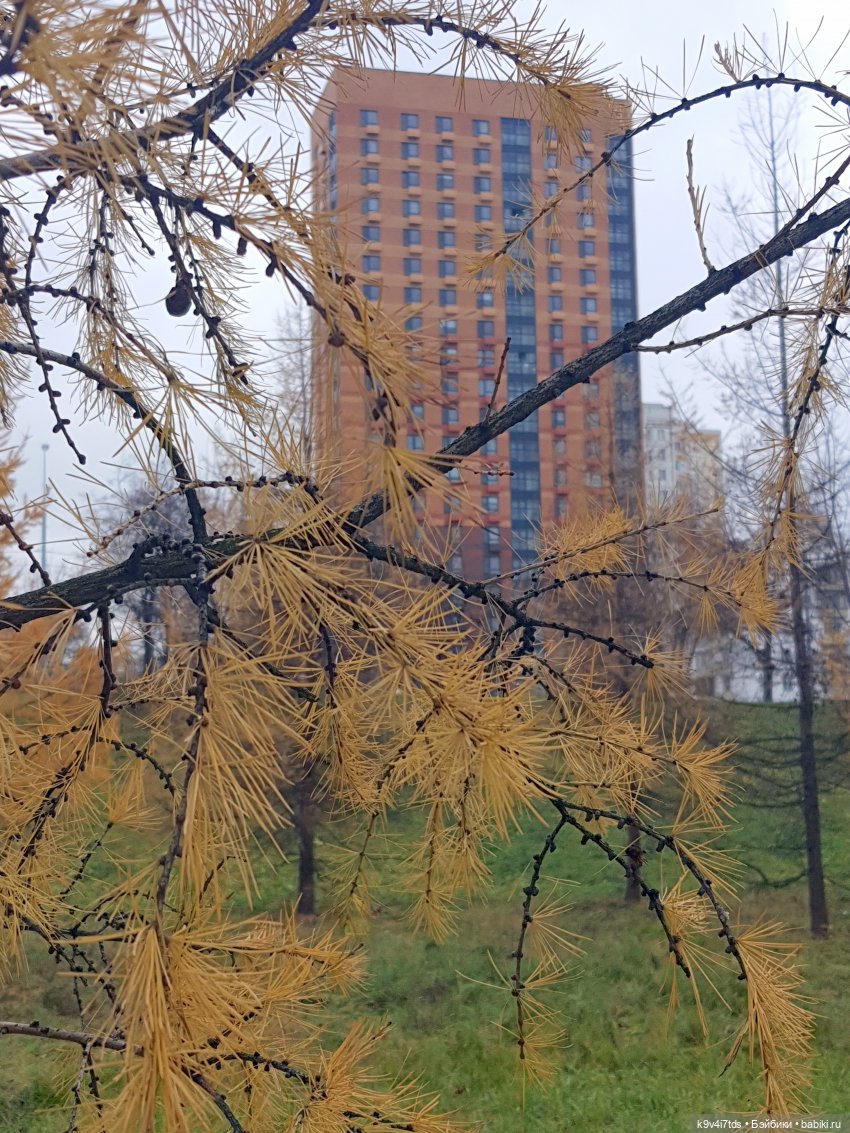 Московская осень — Куклы Irrealdoll (Ирреалдолл): BJD (БЖД)