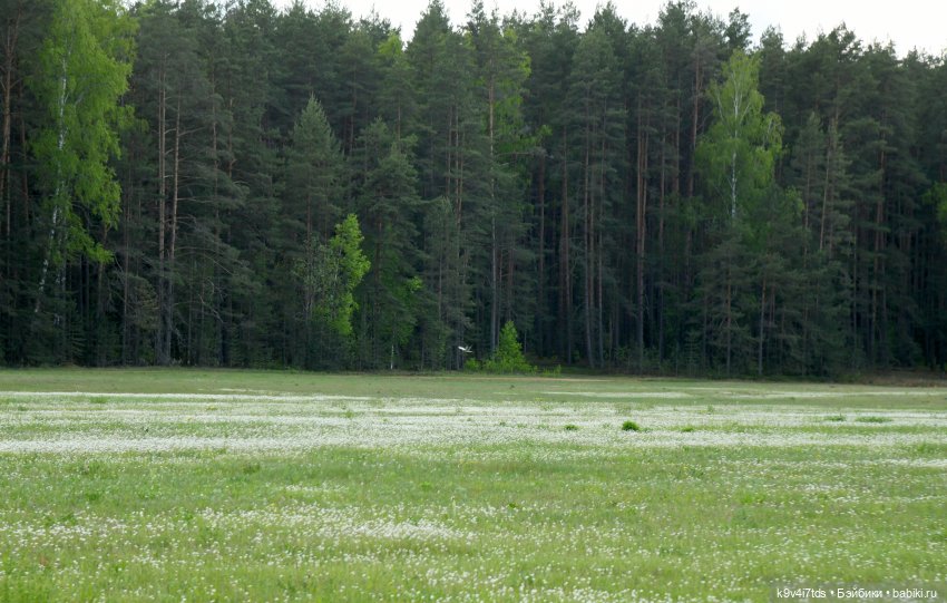 Воспоминания о "ландышевом" мае