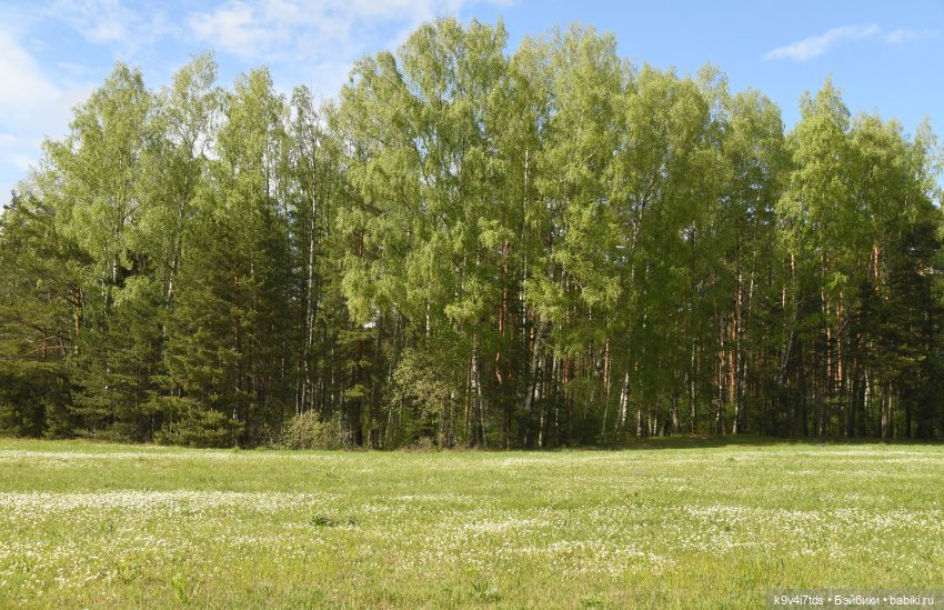 Воспоминания о "ландышевом" мае