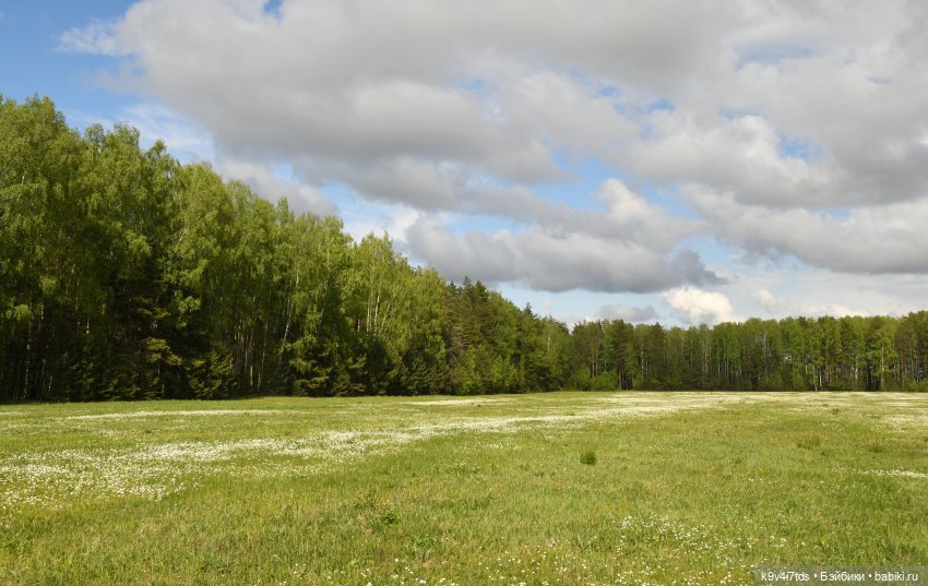 Воспоминания о "ландышевом" мае