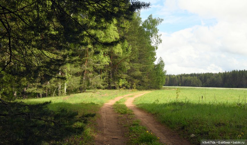 Воспоминания о "ландышевом" мае (фото 3)