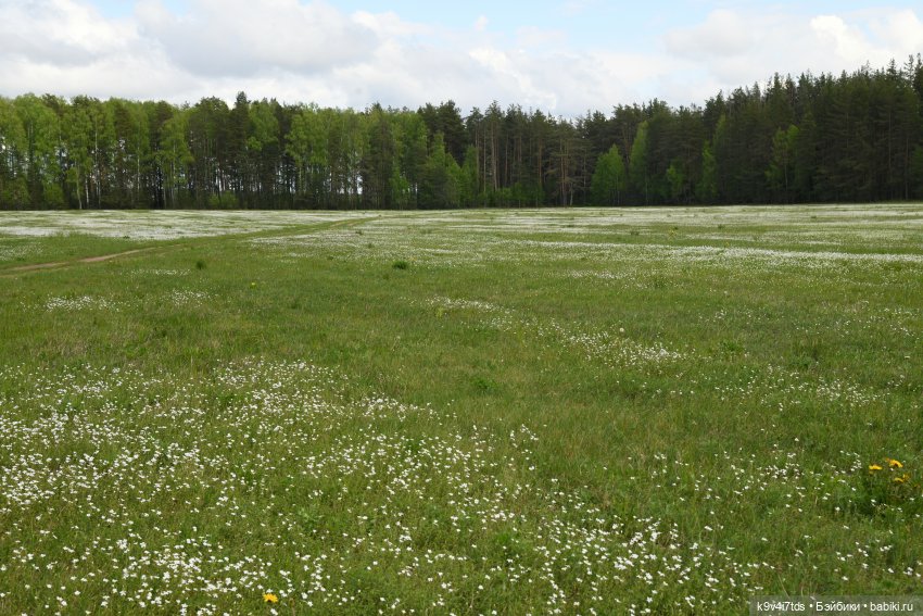 Воспоминания о "ландышевом" мае