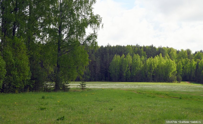 Воспоминания о "ландышевом" мае (фото 2)