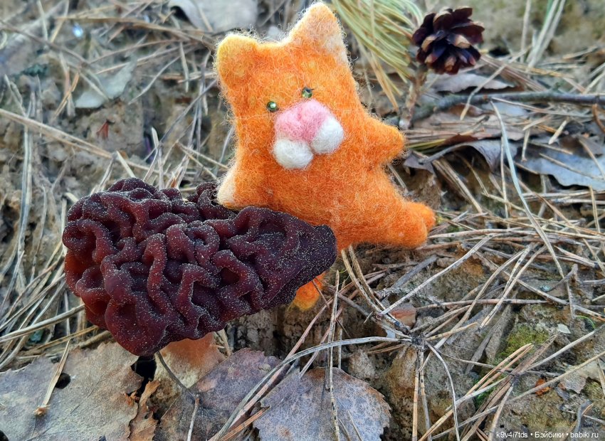 Весенняя прогулка с "Рубиночками"