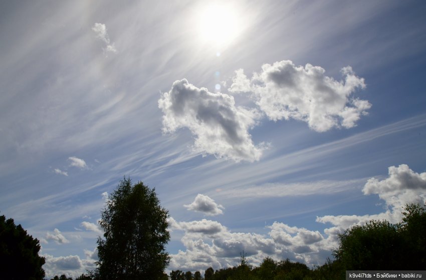 Летнее путешествие Дороти и Крекера в Старицу (фото 2)