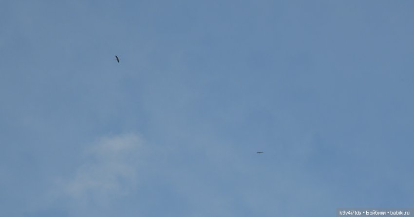 Летнее путешествие Дороти и Крекера в Старицу (фото 6)