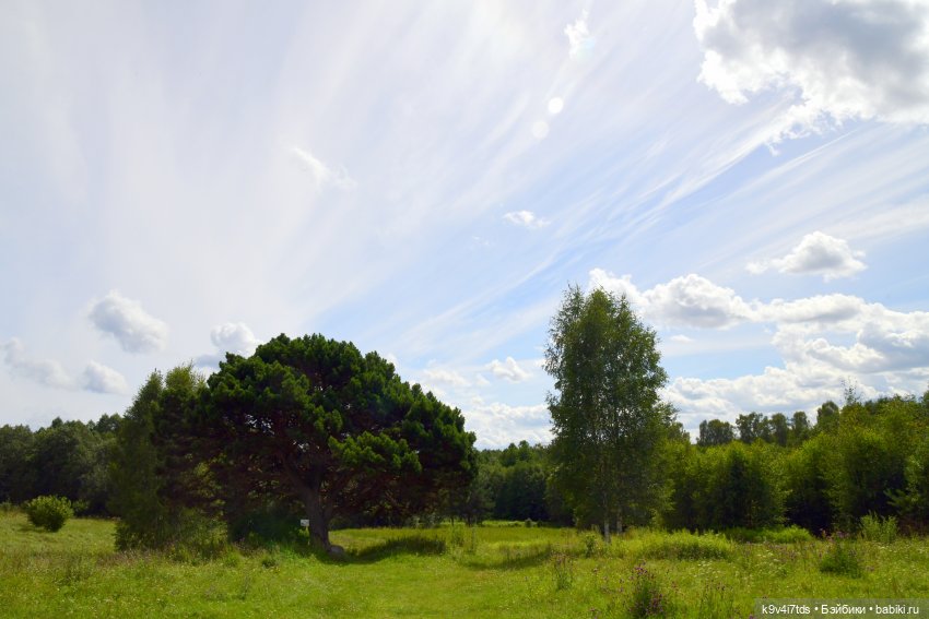 Летнее путешествие Дороти и Крекера в Старицу