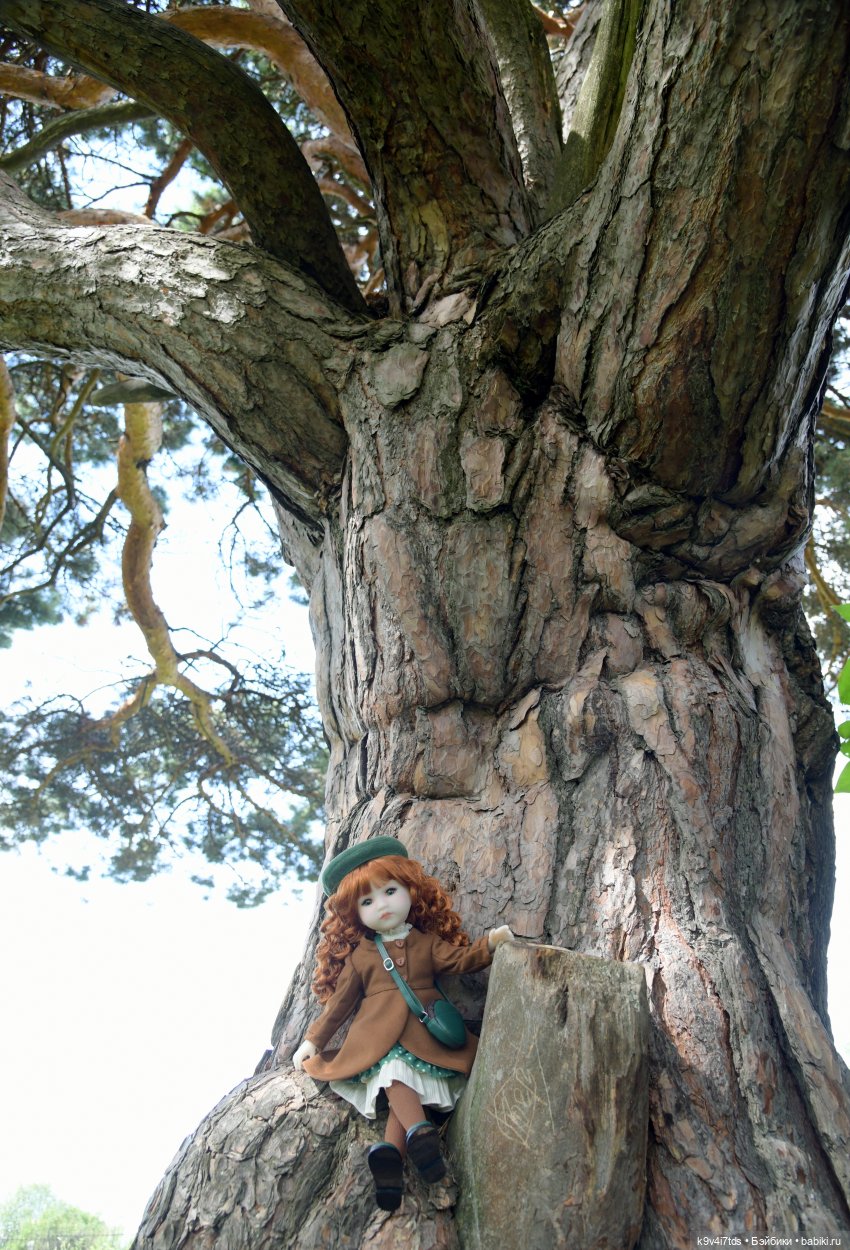 Летнее путешествие Дороти и Крекера в Старицу (фото 4)