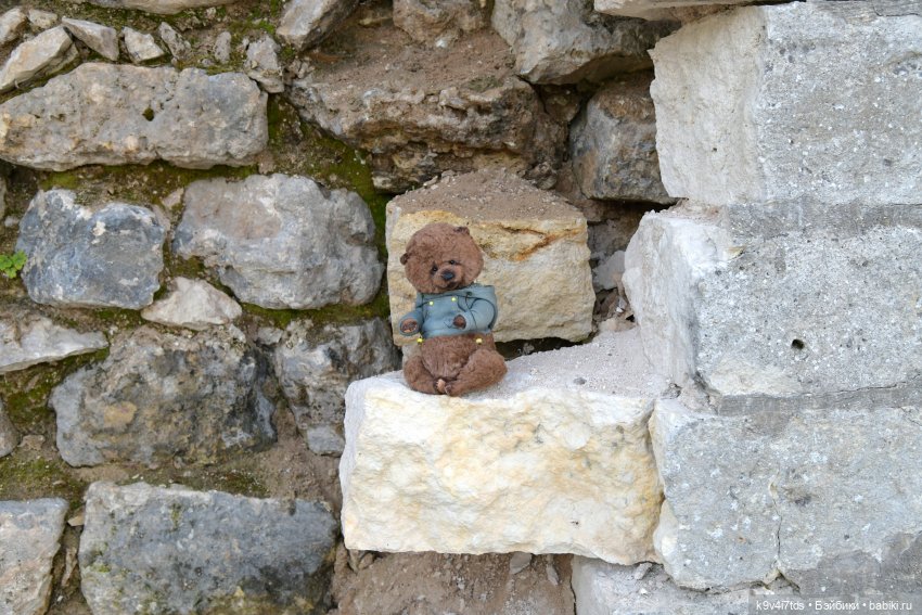 Летнее путешествие Дороти и Крекера в Старицу