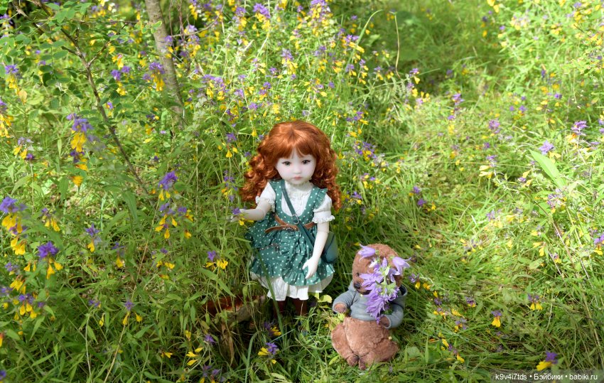 Летнее путешествие Дороти и Крекера в Старицу