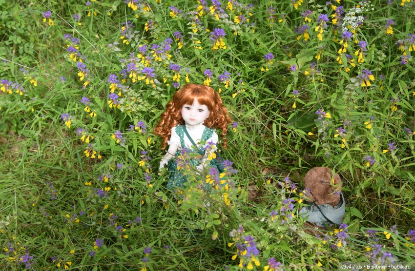 Летнее путешествие Дороти и Крекера в Старицу