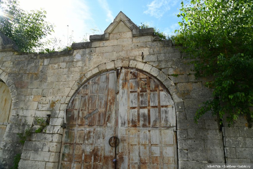 Летнее путешествие Дороти и Крекера в Старицу