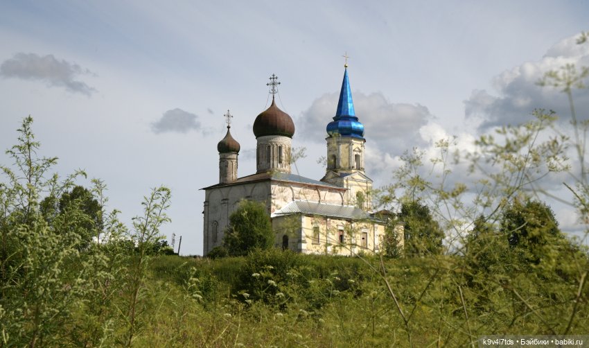 Летнее путешествие Дороти и Крекера в Старицу