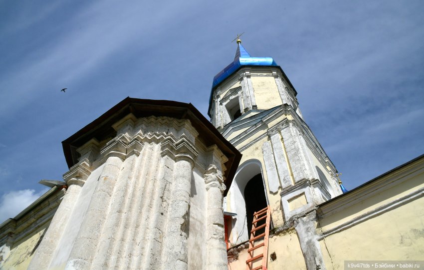 Летнее путешествие Дороти и Крекера в Старицу