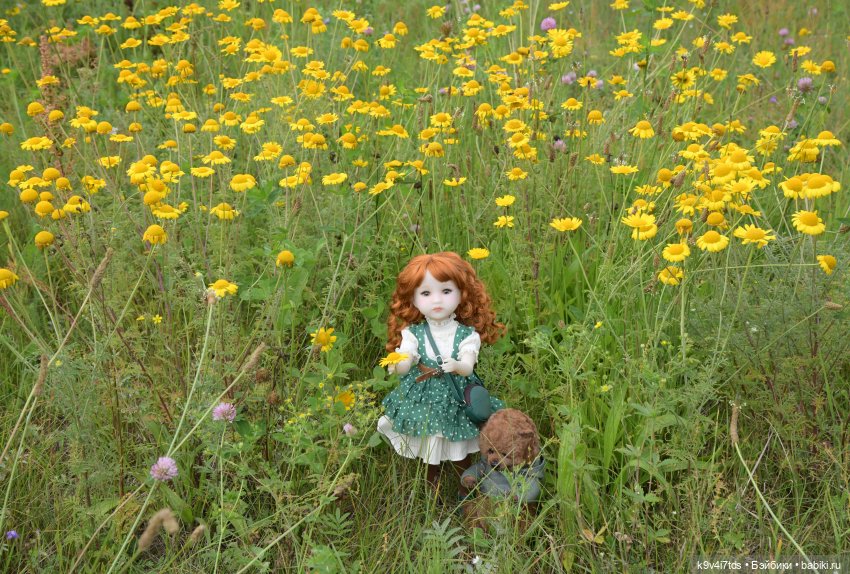 Летнее путешествие Дороти и Крекера в Старицу