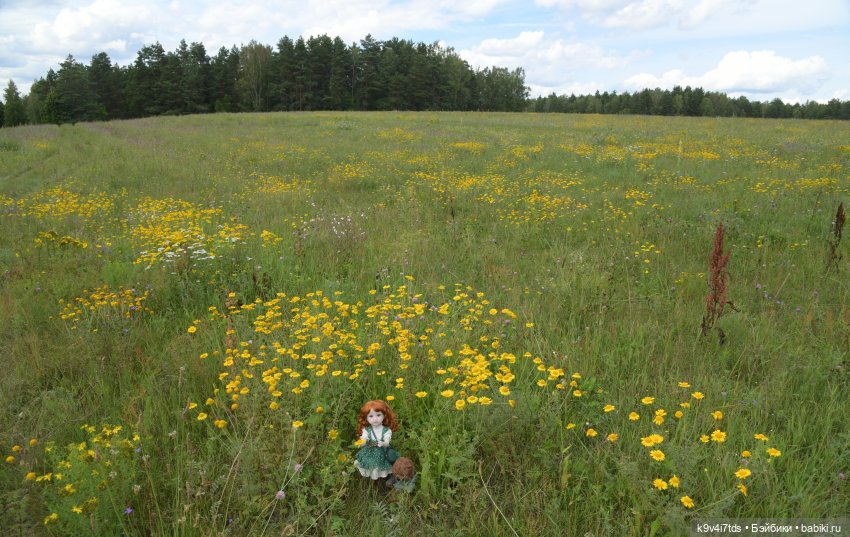 Летнее путешествие Дороти и Крекера в Старицу