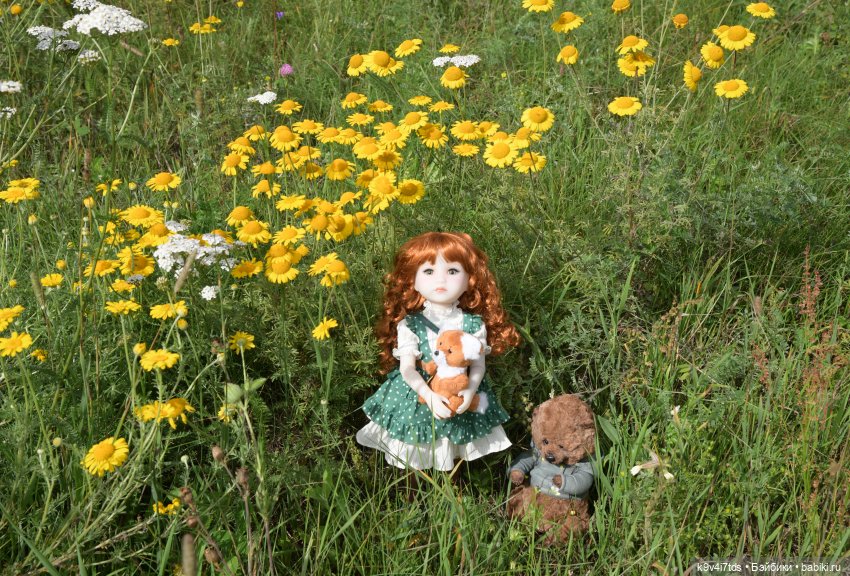 Летнее путешествие Дороти и Крекера в Старицу